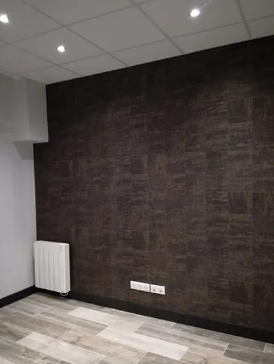 demoussage toiture pornic